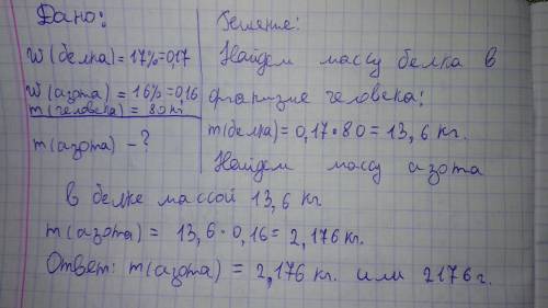 Массовая доля белка в организме человека составляет 17 % от массы тела. массовая доля азота в белке 