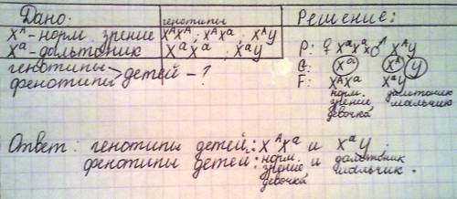 Каковы вероятные фенотипы и генотипы детей от брака женщины дальтоника со здоровым по цвету зрению м