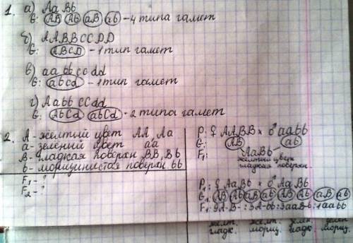 1, запишите, сколько типов и каких гамет образуют организмы с генотипами: а) ааbb: б) aabbccdd: в) a