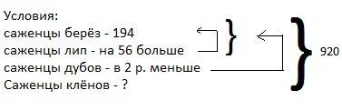 Для озеленения города 920 саженцев деревьев: берёз,лип,дубов и клёнов.саженцев берёз было 194,саженц