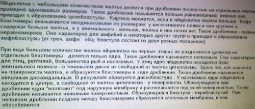 Охарактеризуйте особенности дробления яйцеклетки птиц по сравнению с яйцеклетками ланцетника и лягуш