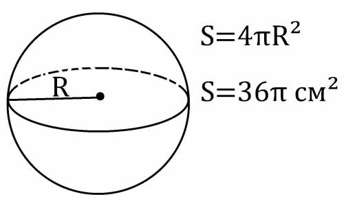 Найдите радиус сферы, если ее площадь равна 36п см2