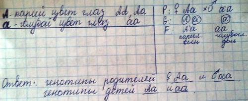 Решить по биологии голубоглазый мужчина женился на кареглазой женщине,мать которой имела голубые гла