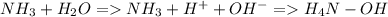 NH_{3} + H_{2}O = NH_{3}+H^+ + OH^- = H_{4}N-OH