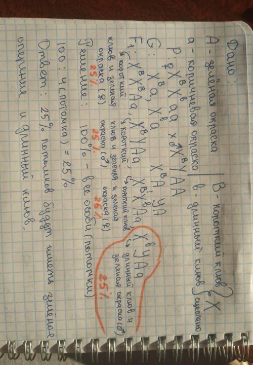 Уканареек зеленая окраска доминирует x - хромосоме сцеплен признак длинны клюва (короткой клюв домин