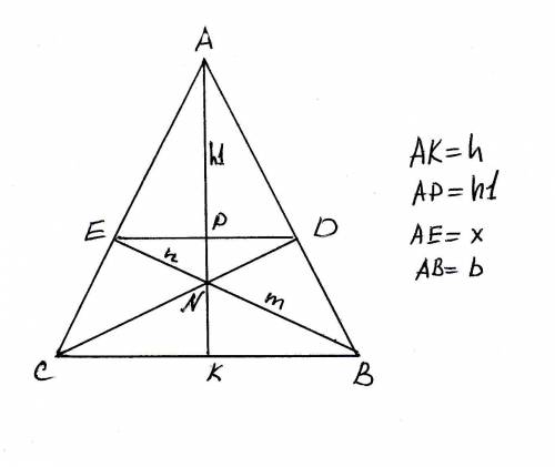 Вравнобедренном треугольнике авс через вершины основания с и в и точку n (n лежит на высоте, проведё
