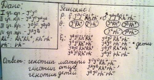 Мать имеет 1 группу крови,резус-положительную,отец- 4 группу резус-положительную. дети имеют 2 групп