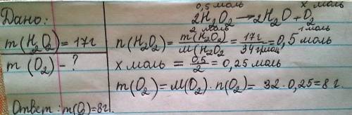 Рассчитайте, какую массу кислорода можно получить при разложении 17 г пероксида водорода.