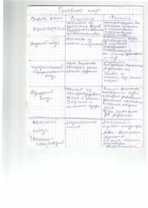 По признаку времени анализ подразделяется на предварительный и последующий. перспективный, итоговый