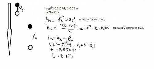 Две капли воды капают из крана через 0,1 с одна после другой.через сколько времени удвоится расстоян