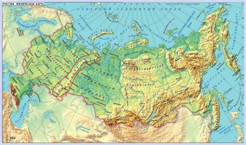 Установите соответствие между профессиональными терминами и их определениями обратная связь процес