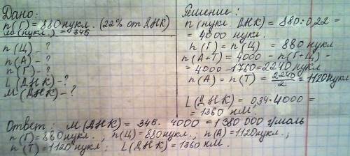 Умалекулі днк виявлено 880 гуанілових нуклеотидів,які 22% від загальної кількості нуклеотидів цієї д