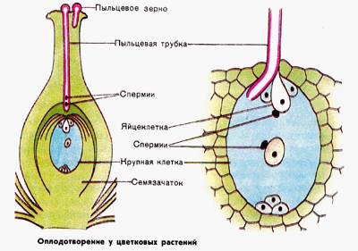 Спишите текст из старинной рукописи. Скажите, каким мысли, по вашему мнению, звучат современно.