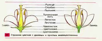 Иногда газ при охлаждении отдает меньшее количество теплоты, чем было затрачено на его нагревание. Н