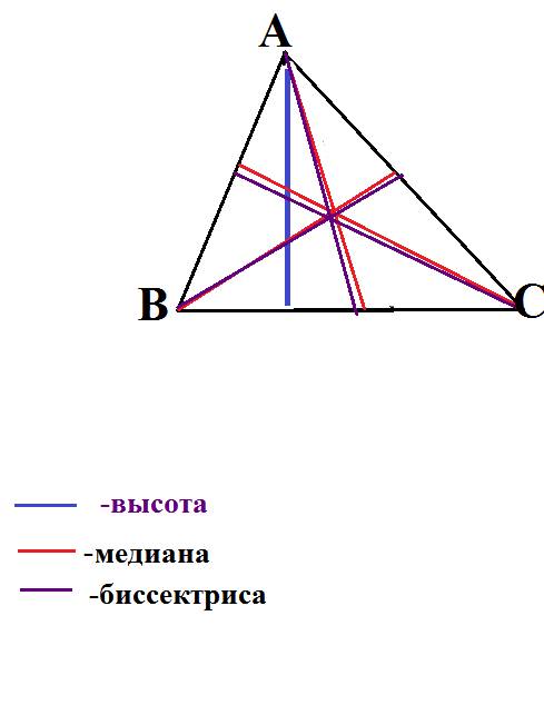 Начертить 3 меридианы,3 биссектрисы и 3высоты