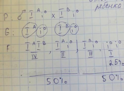 Учоловіка іі група крові у жінки - ііі, яка ймовірність народження дитини з і групою крові, якщо бат