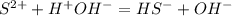 S^{2+} + H^+OH^- = HS^- + OH^-