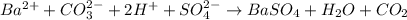 Ba^{2+} + CO_3^{2-} + 2H^+ + SO_4^{2-} \to BaSO_4 + H_2O + CO_2