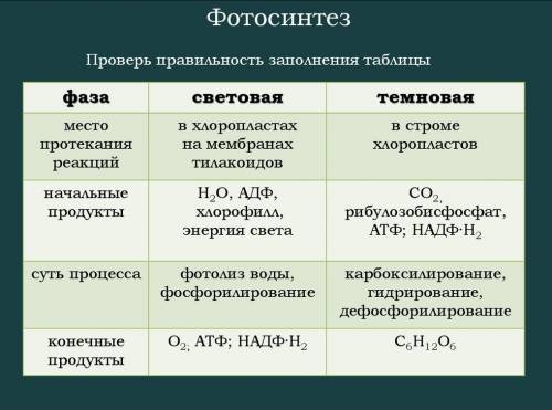 Стаблицей. 1. фазы фотосинтеза. 2. процессы происходящие в этой фазе. 3. результаты процессов