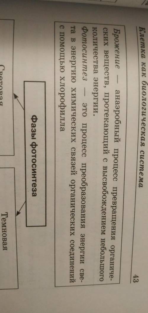 Таблица по энергетическому обмену и его реакции первый столбик: названия этапа второй столбик: место