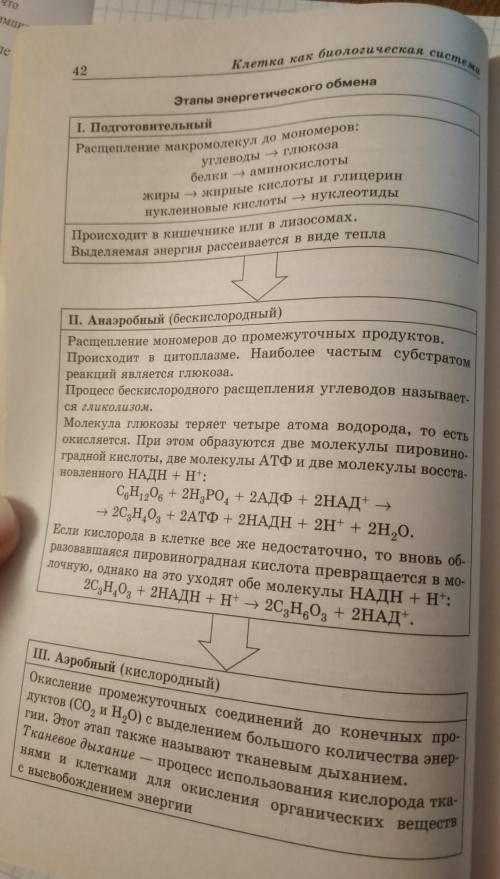 Таблица по энергетическому обмену и его реакции первый столбик: названия этапа второй столбик: место