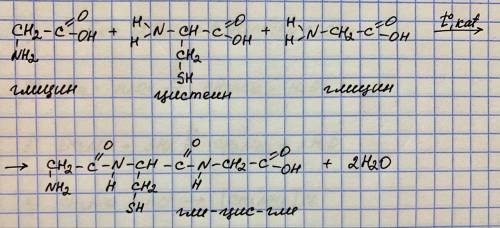 Напишите синтез трипептида гли-цис-гли