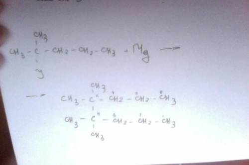 Какое вещество образуется при реакции 2-йод-2-метилпентана с магнием в абсолютном эфире