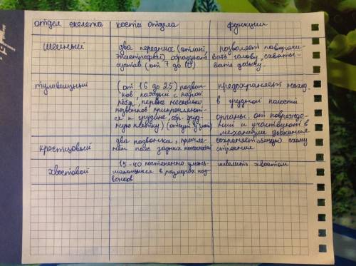 Составьте таблицу по биологии на тему пресмыкающиеся. она состоит из трёх колонок: отдел скелета; ко