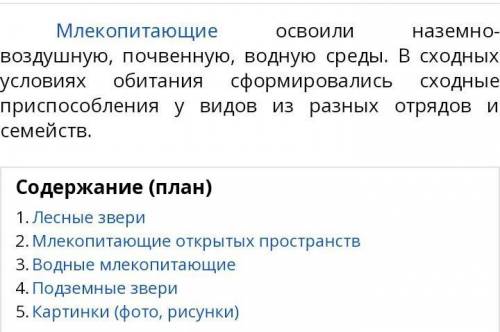 Доклад о экологических группах животных. заранее большое !