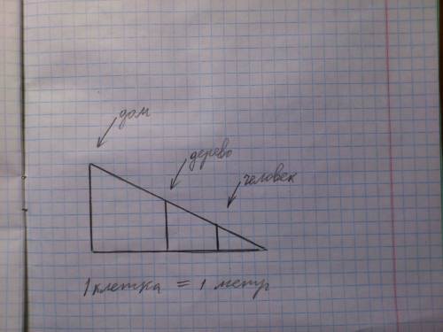 Человек ростом 2м видит верхушку дерева и край крыши дома. высота дома 7м, расстояние от человека до