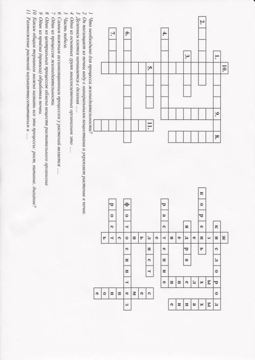 Кроссворд 6 класса по теме процессы жизнедеятельности растений буду блогодарен нужно !