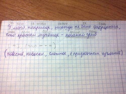 Разберите предложение по всем харавтеристикам у меня, например, никогда не было ощущения, что красны