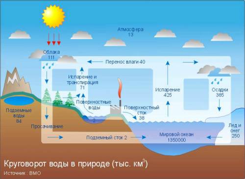 Какое значение имеет испарение воды для растений?