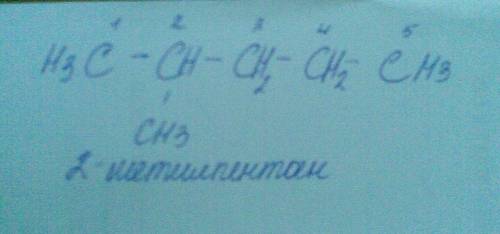 Скласты структурни формули речовын 2-метылпентан !