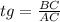 tg = \frac{BC}{AC}