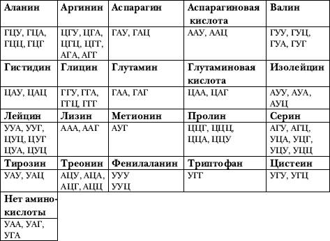 Вбиосинтозе фрагмента молекулы белка участвовали последовательно молекуры трнк с антикодонами ацц, г