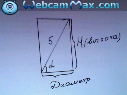 Диагональ осевого сечения цилиндра 5 см и образует с основанием угол 30 градусов. найти объем и площ