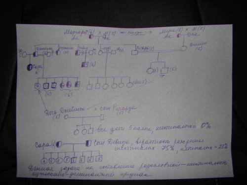 Пробанд страдает легкой формой серповидноклеточной анемии. его здорова, но их дочь также с легкой фо