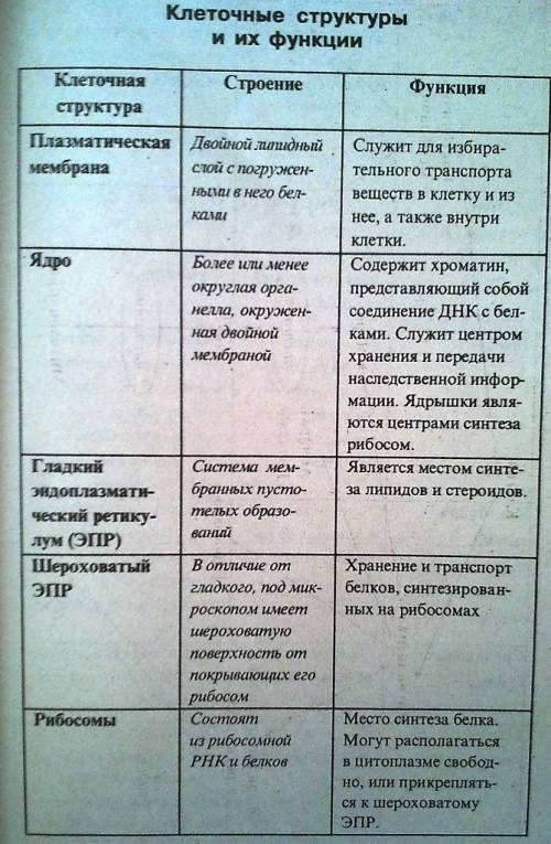 1.что такое субъекция? 2. описать строение клетки растения и животного ( по школьной программе). + ф