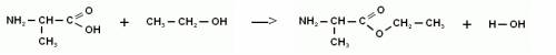 Напишите структурную формулу аланина и уравнения реакций его взаимодействия с этанолом