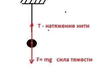 Шарик весит на нити. какие силы действует на шарик ? почему он покоится ? изобразите силы графически