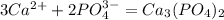 3Ca^{2+} + 2PO_4^{3-} = Ca_3(PO_4)_2