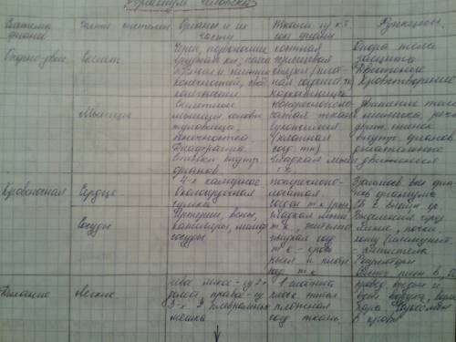 Таблица система органов органы, функции системы органов входящие в систему пищеварит. кровеносная вы