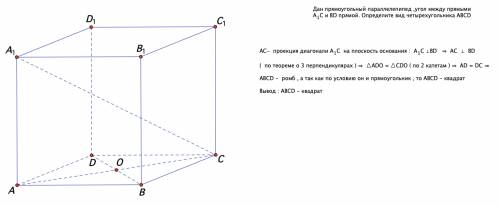 Дан прямоугольный параллелепипед ,угол между прямыми a1с и bd прямой. определите вид четырехугольник