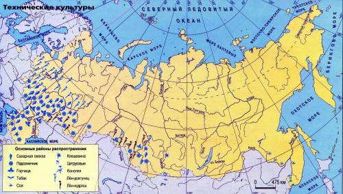 Какие технические культуры выращивают в схожих агроклиматических условиях?