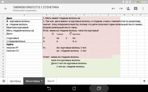 Учеловека курчавые волосы доминируют над гладкими.курчавый отец и гладковолосая мать имеют трёх курч