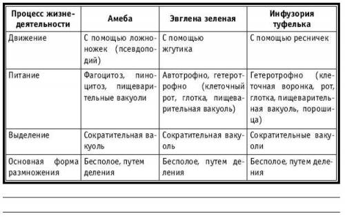 Сходства и различия строения простейших. табл. : название органоида : амеба, эвглена зеленая, инфузо