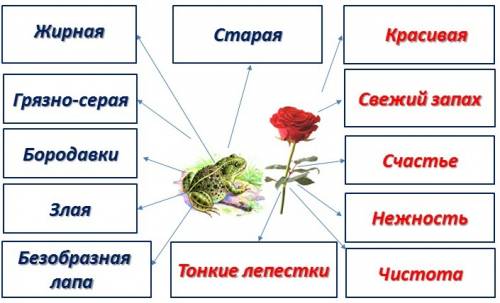 Можем ли мы сказать,что жаба и роза противопоставляются друг другу? объясни. примеры из текста сказк