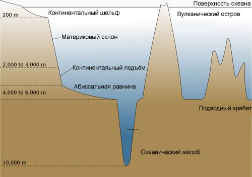 Как нарисовать схематический разрез рельефа дна океана и изобразить формы рельефа?