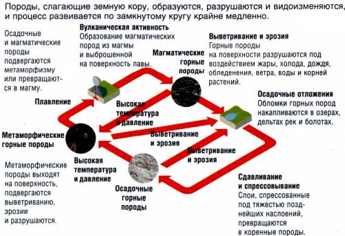 Правильно ли утверждение, что в земной коре происходит круговорот горных пород? если да, то почему и